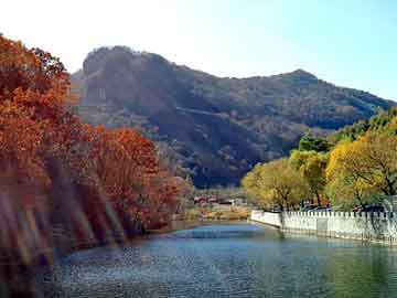 管家婆黑白马报图库，榆社seo程序